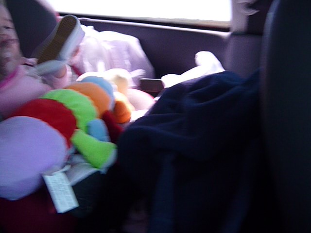 fotos/2011 - Los Reartes/P1010890.JPG